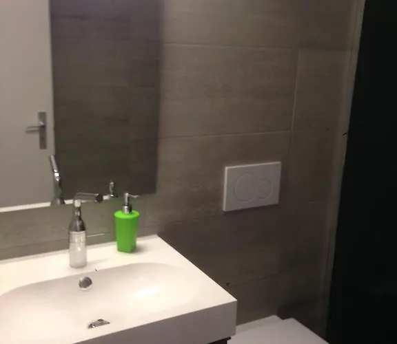 丽都阿斯科纳公寓 *